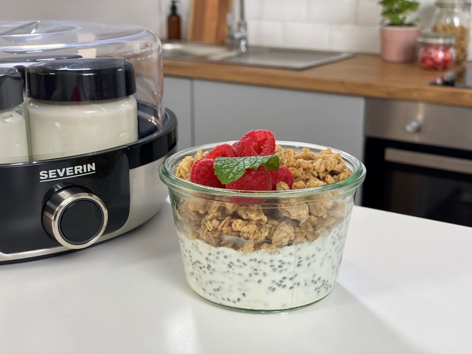 Joghurt_HImbeeren_1-scaled