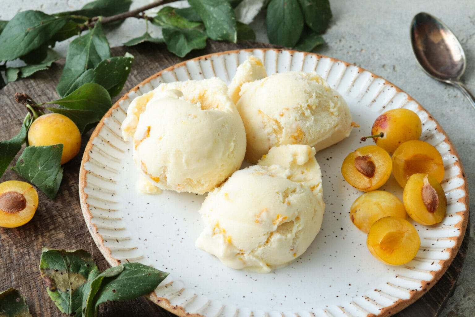 Severin_Mirabelleneis_August_2023_Stylingkitchen-21-scaled