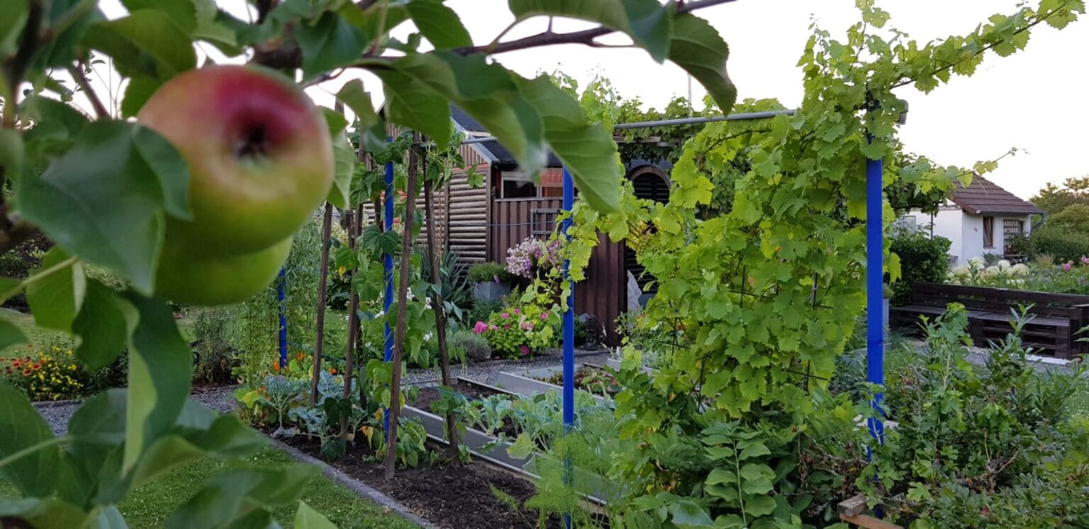 WhatsApp-Image-2018-07-27-at-10.20.38