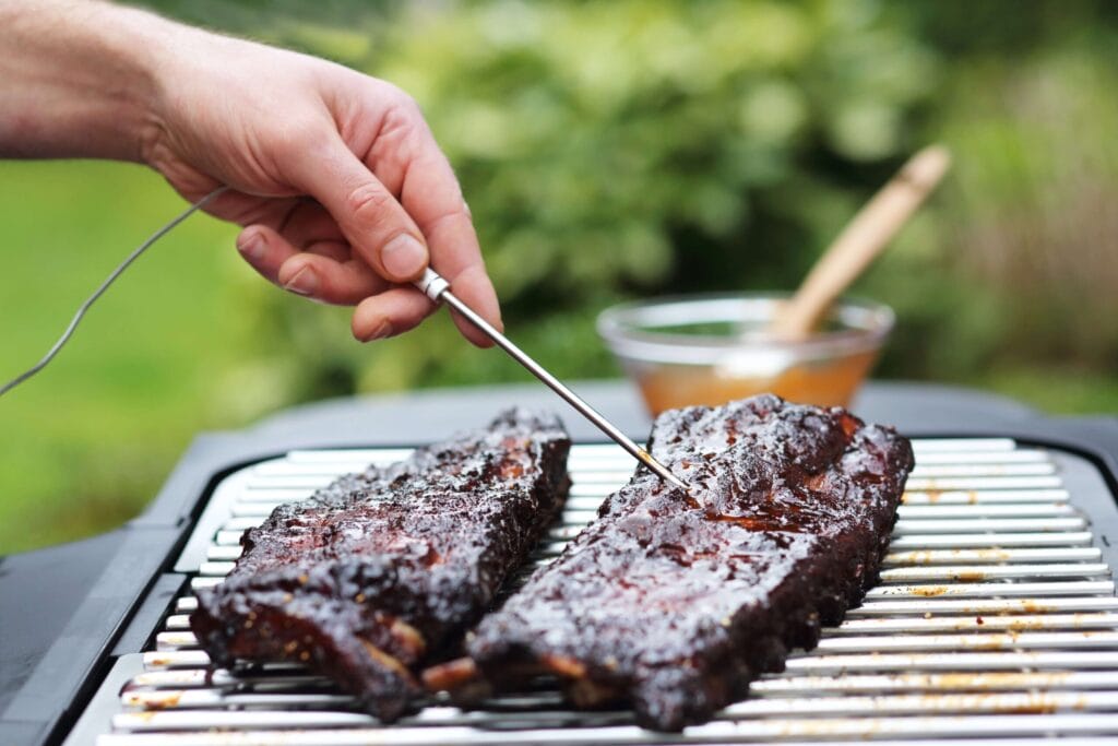 severin-standgrill-pg-8106-sevo-gts-USP4